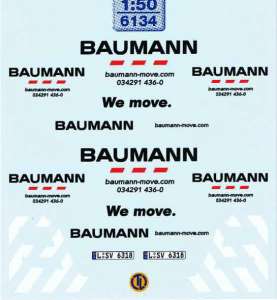 baumann-move.com   -