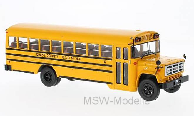 6000 Schoolbus, 1990